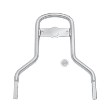 Conjunto Do Suporte Do Encosto
