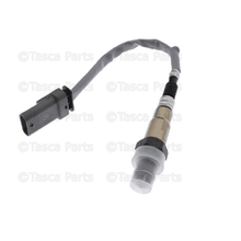 Sensor oxigênio