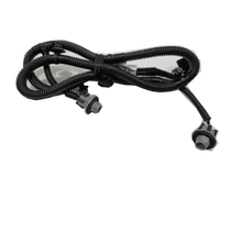 Chicote luz placa licença tras