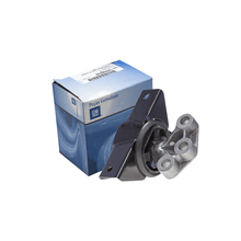 Coxim Motor Lado Esquerdo